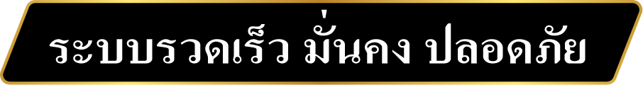 ระบบรวดเร็ว มั่นคง ปลอดภัย